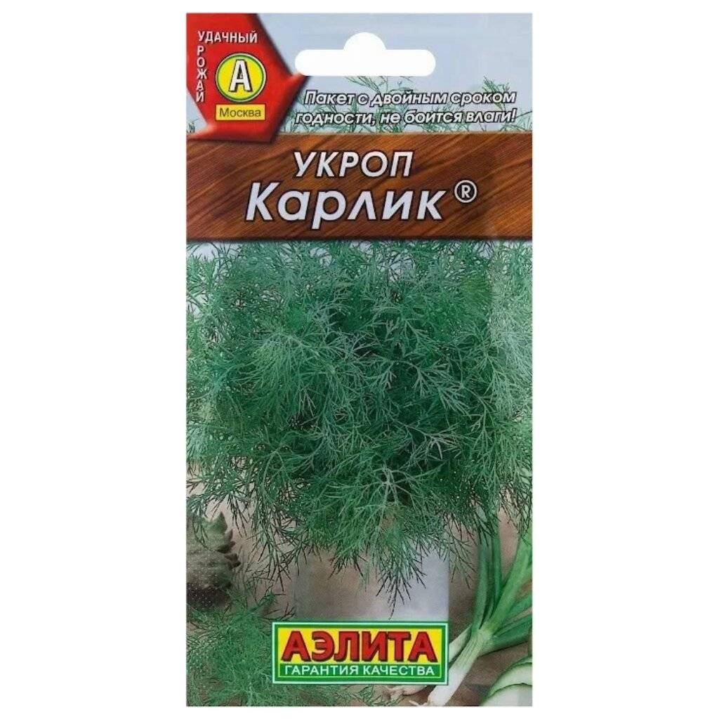 Укроп, описание, виды и сорта, фото, условия выращивания. уход, болезни и вредители