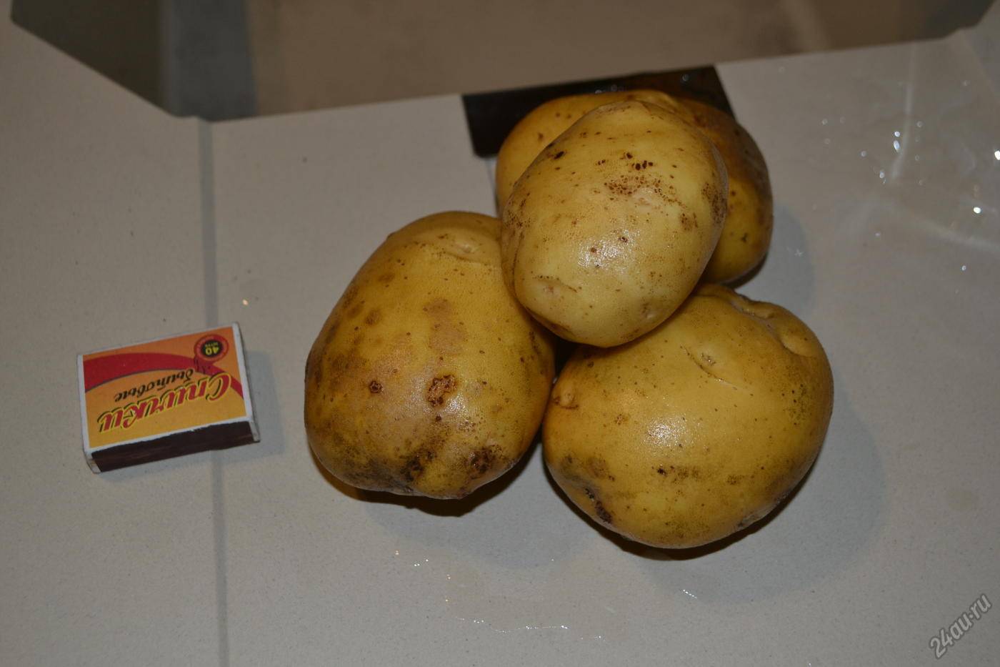 Картофель латона: описание сорта, характеристика, урожайность