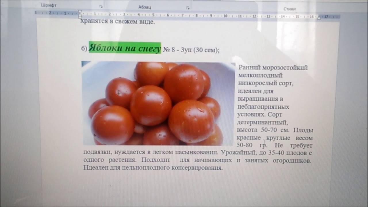 Характеристика универсального сорта томатов Яблоки на снегу и описание плодов