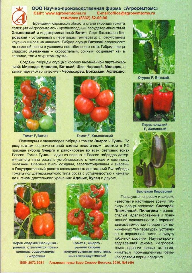 Томат подснежник: характеристика и описание сорта, фото, отзывы, урожайность