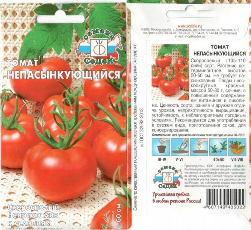 Популярный сорт для теплиц, огородов и балконных горшков — томат спящая леди: описание помидоров