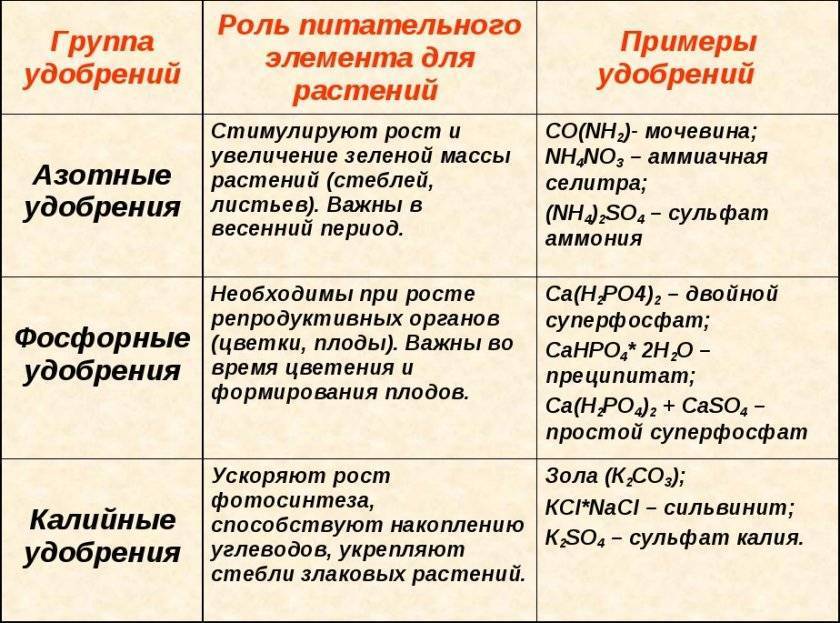 Минеральные неорганические удобрения: классификация, нормы внесения и характеристика