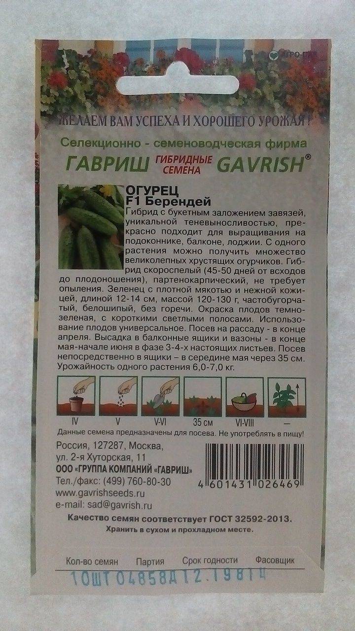 Огурцы берендей f1: описание сорта, посадка, уход, фото, отзывы