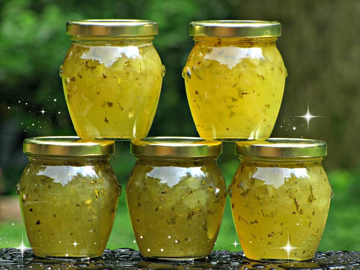 Салаты из огурцов на зиму: 13 новых, очень вкусных и простых рецептов приготовления