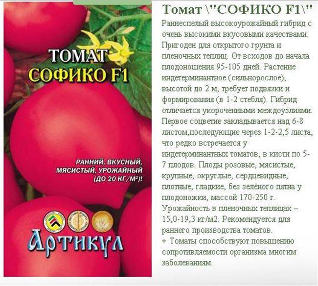 Характеристика томата розовый сон f1 и агротехника выращивания сорта