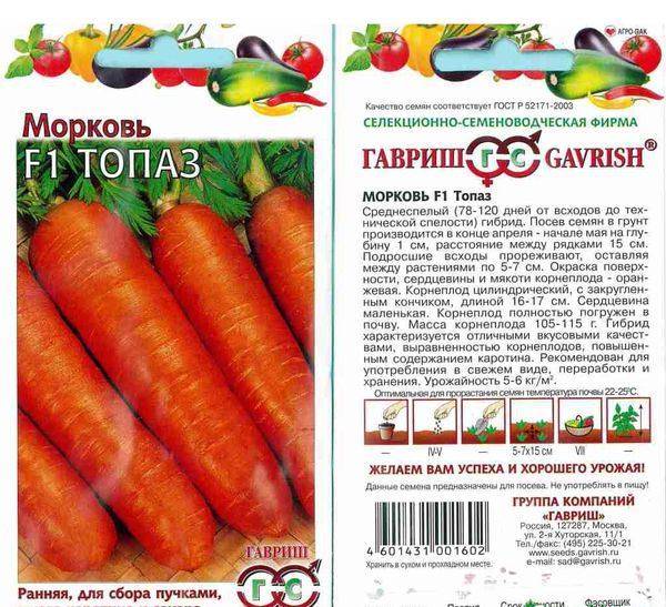 Посадка моркови под зиму – когда и как сажать?