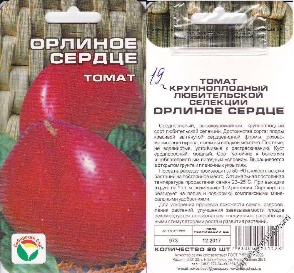 Характеристика и описание томата успех, выращивание сорта из семян