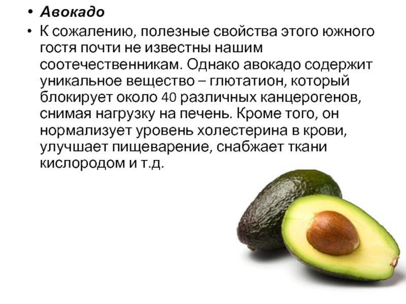 Польза и вред авокадо для мужского и женского организма, правила употребления