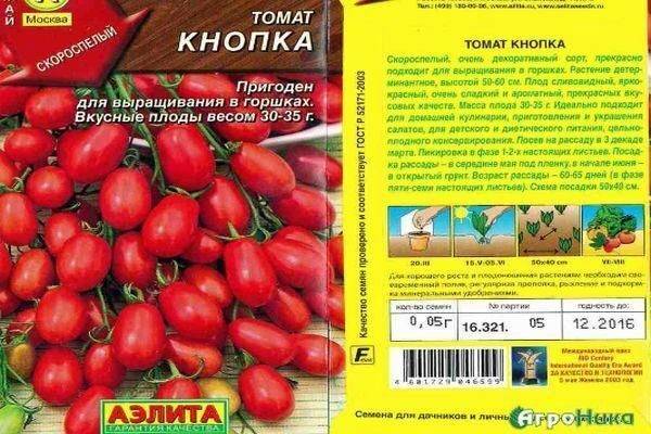 Характеристика раннеспелого томата Кнопка и рекомендации по выращиванию