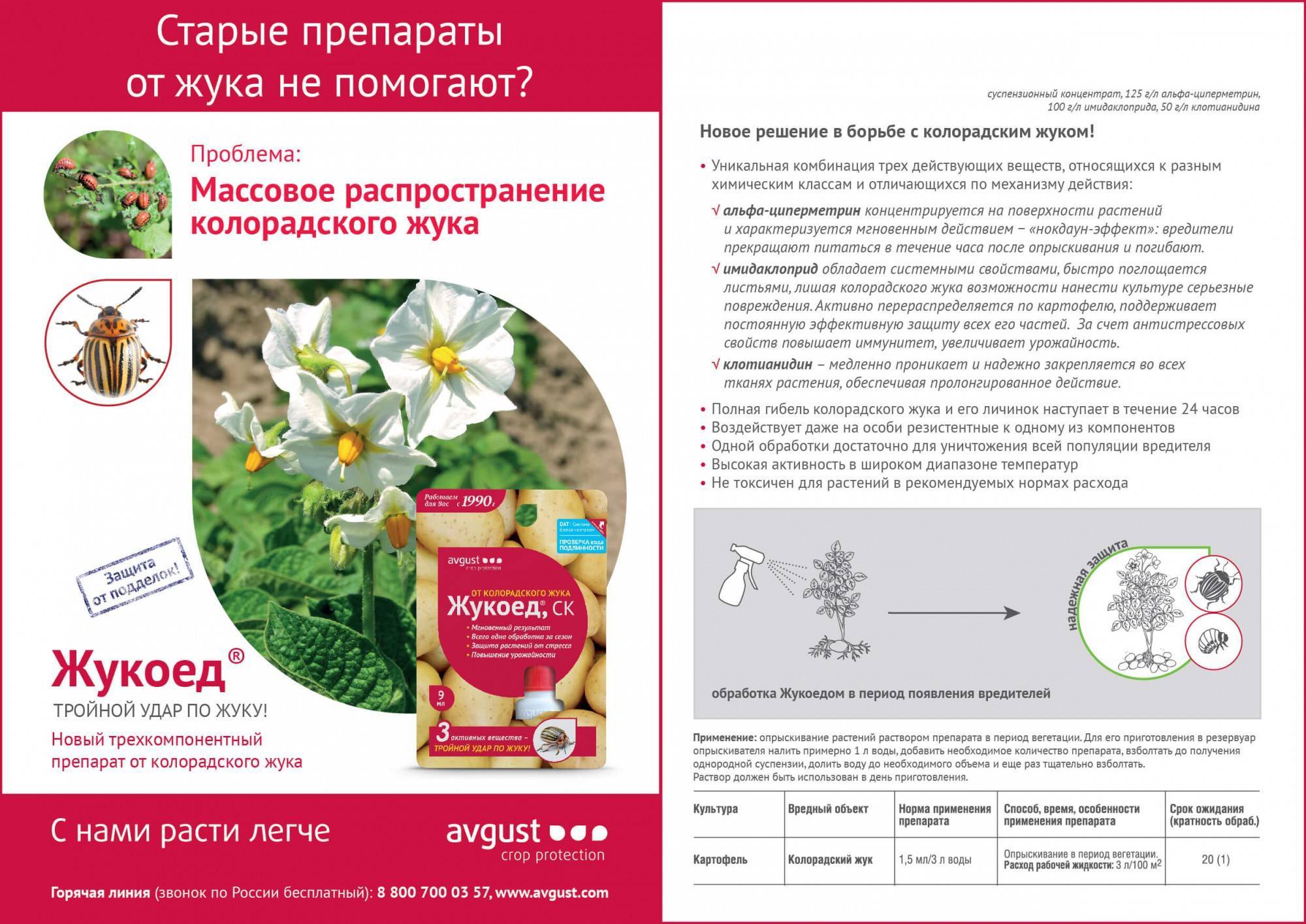 Препарат жукоед – эффективный инсектицид против колорадского жука, инструкция по применению, отзывы, совместимость, аналоги средства