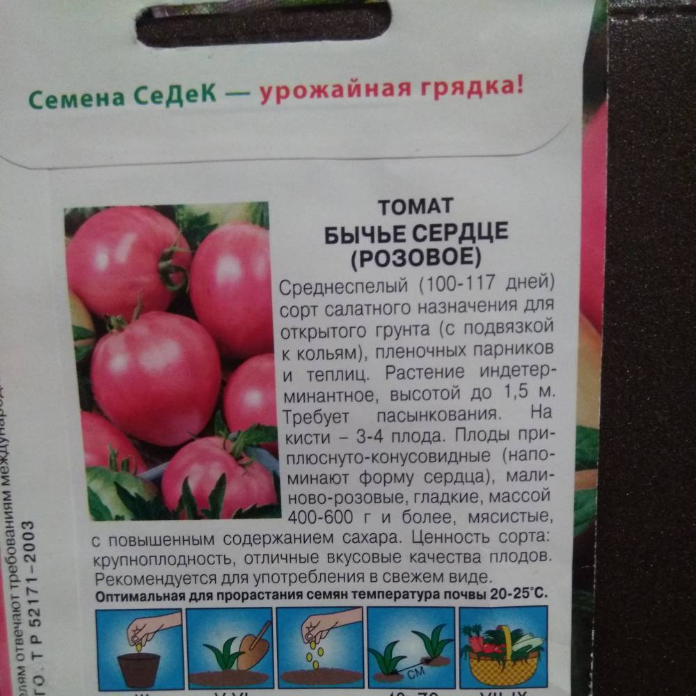 Описание томата ильди и рекомендации по выращиванию растения