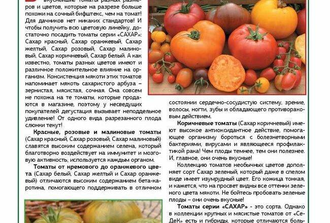 Описание томата персидская сказка и агротехника выращивания гибрида