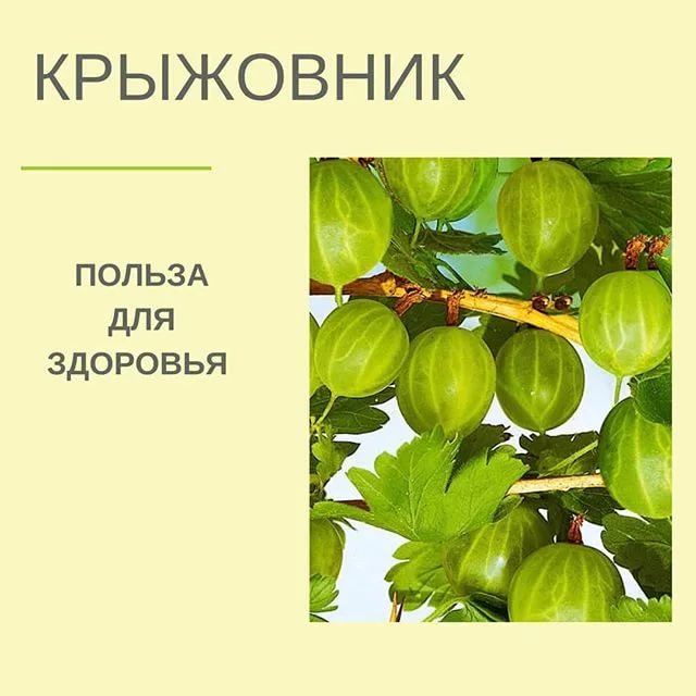 Польза и вред жевательной резинки, которую мы жуем