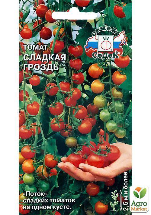 Семена томат сладкая гроздь шоколадная: описание сорта, фото