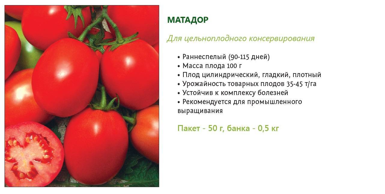 Описание томата Матадор и выращивание сорта для качественного урожая