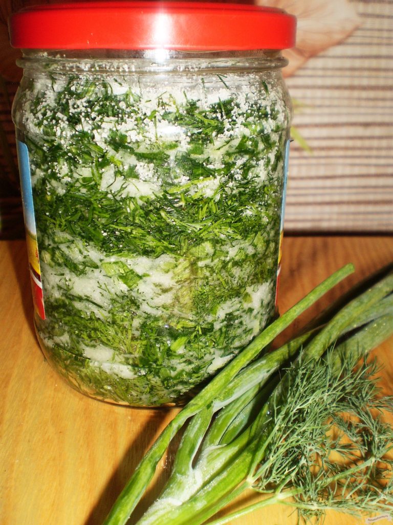 Как посолить зеленый лук на зиму в банках: лучшие пошаговые рецепты засолки и рекомендации по хранению заготовок