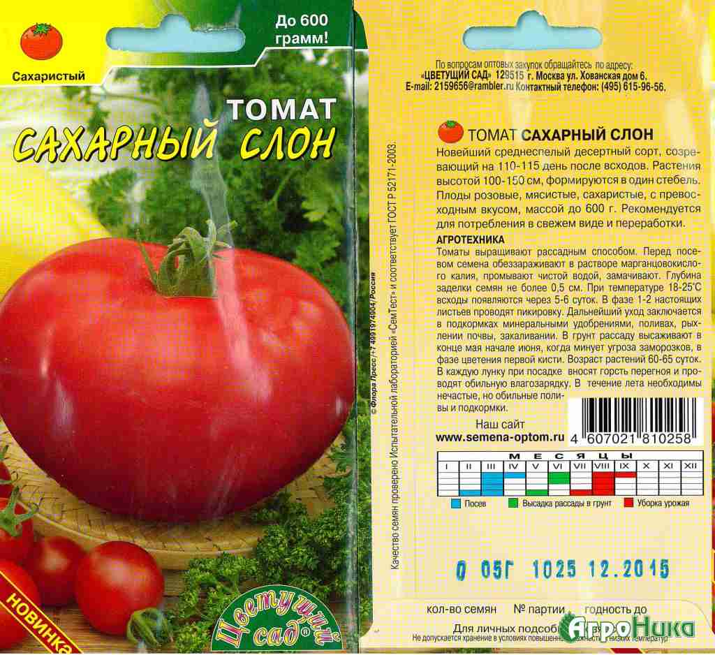 Мясистый сахаристый томат: описание томата, характеристики помидоров