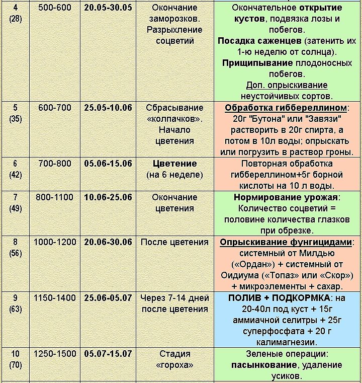 Сода для винограда: обработка, опрыскивание, лечение, отзывы | soda-soda.ru