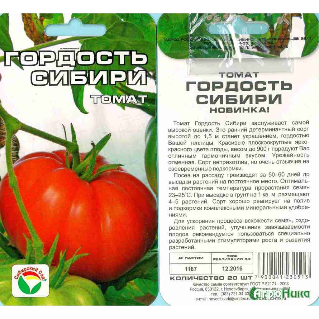 Томат «сибирский гигант»: характеристика и описание сорта, урожайность, посадка и уход, фото