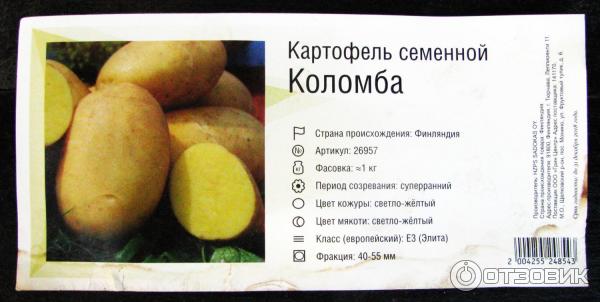 Картофель коломбо: характеристика и описание раннего сорта