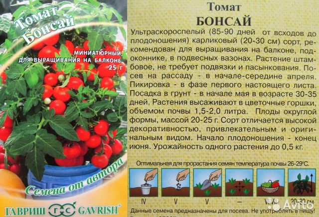 Характеристика балконного томата Бонсай и требования к выращиванию гибрида
