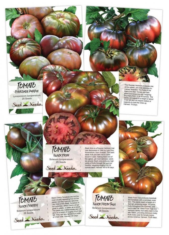 Сорта черных томатов с фото