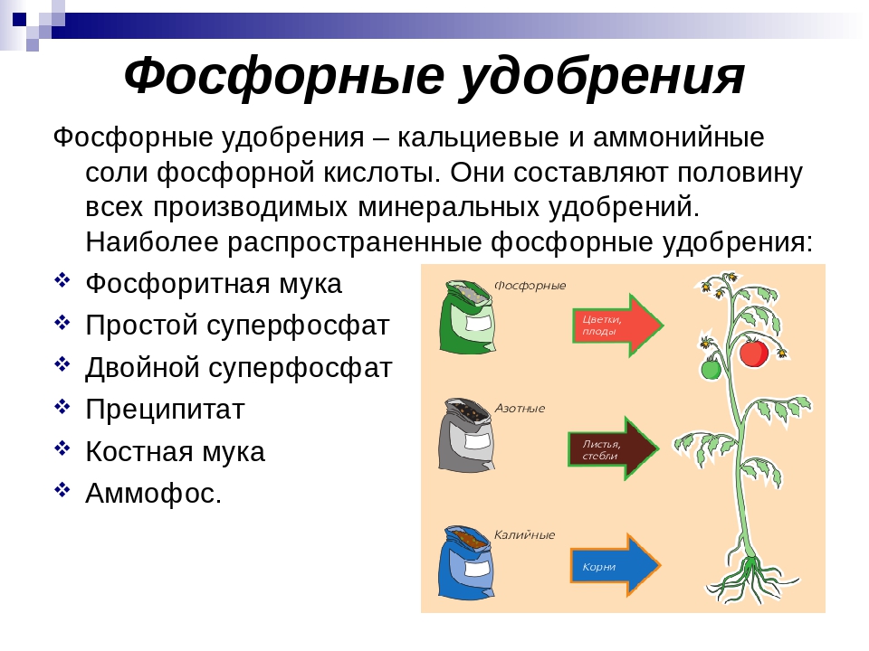 Фосфор в органических удобрениях