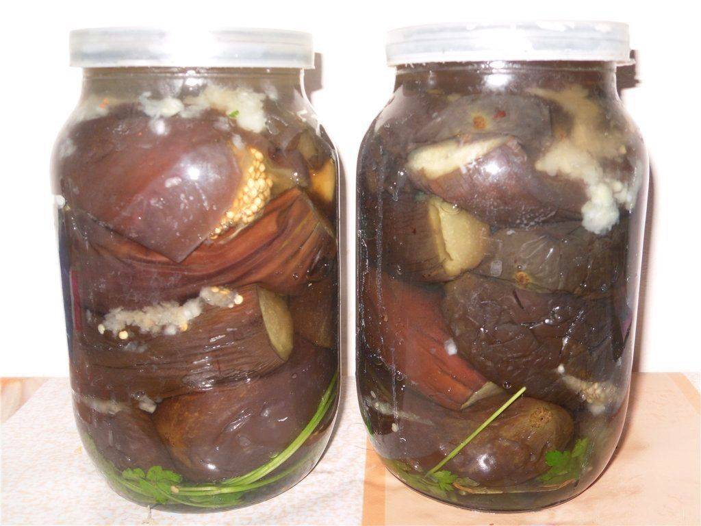 Рецепты баклажанов – лучшие варианты заготовки на зиму без стерилизации