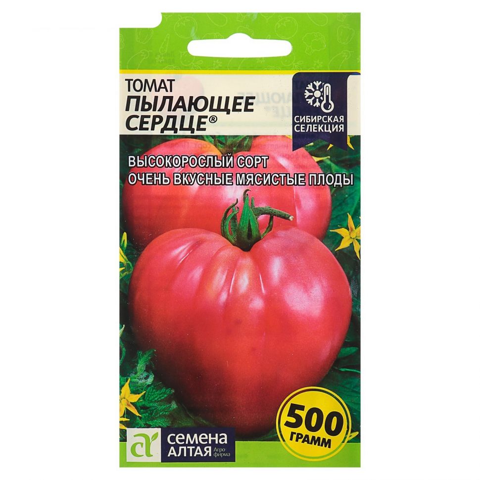 Характеристика томата Пылающее сердце и техника выращивания сорта