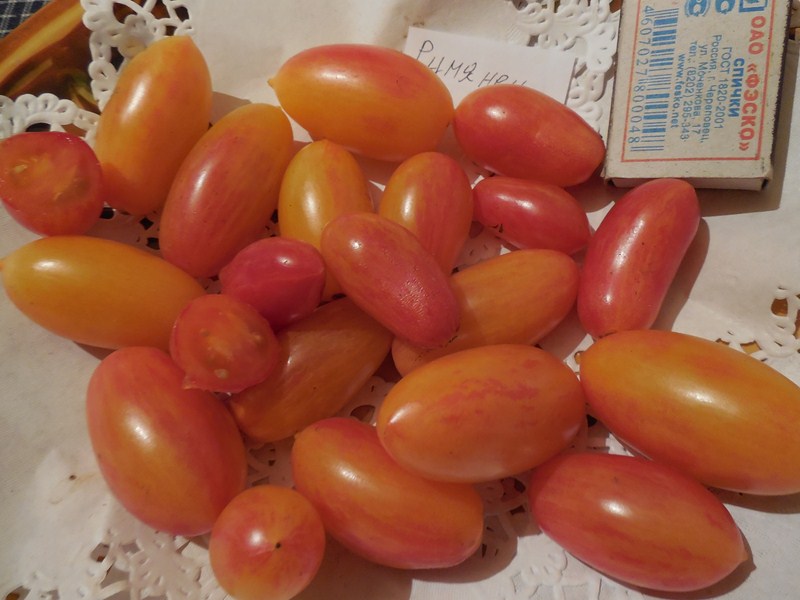 Описание сорта томата стыдливый румянец, особенности выращивания и ухода - все о фермерстве, растениях и урожае