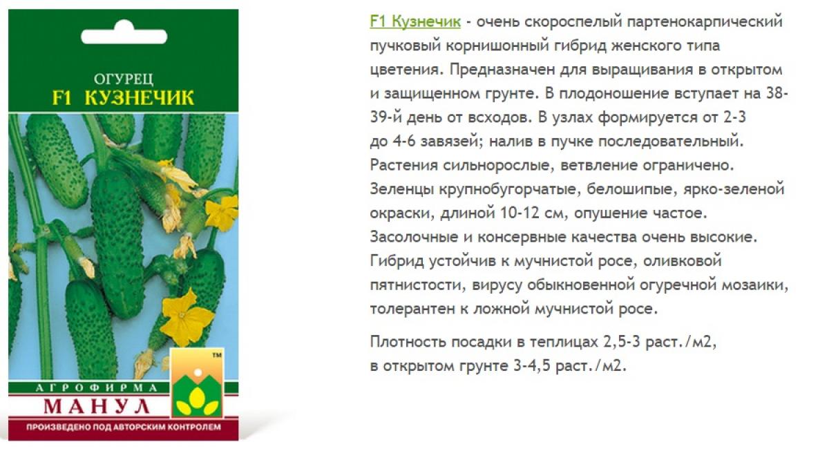 Огурец клавдия f1: описание высокоурожайного гибрида, отзывы и фото тех, кто сажал