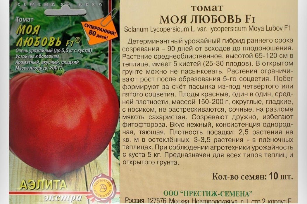 Сорт томатов президент, описание, характеристика и отзывы, а также особенности выращивания