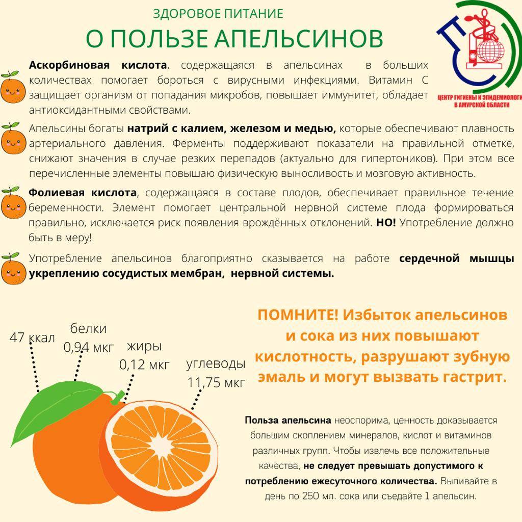 Чем полезен апельсин: свойства фрукта и его вред для организма