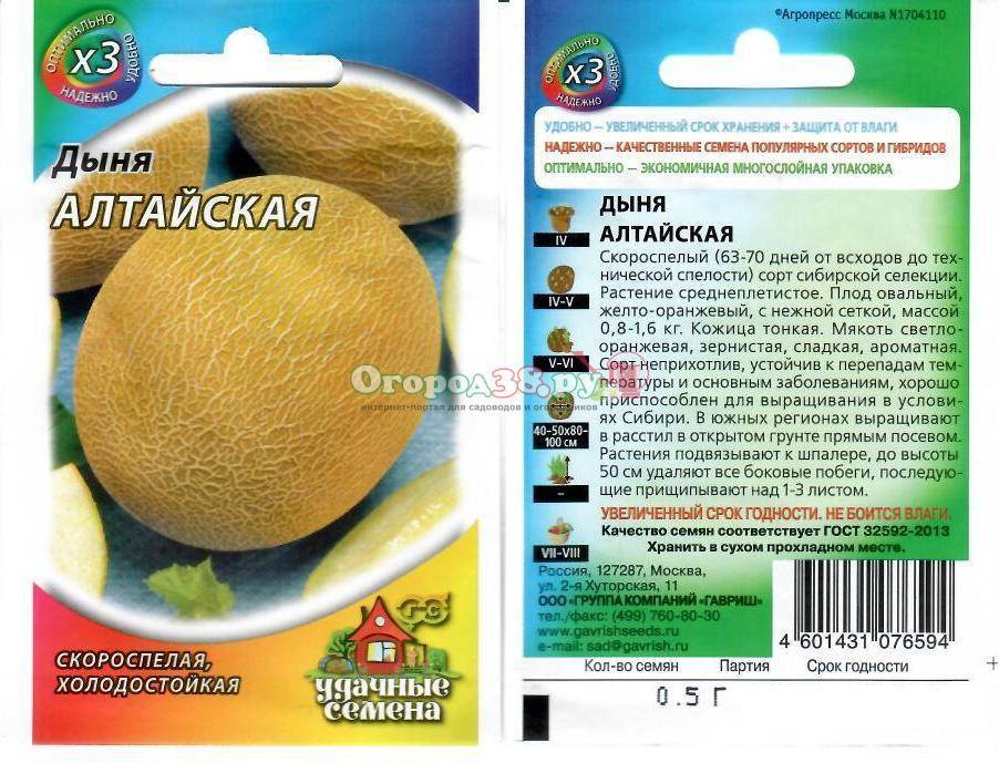 Дыня алтайская: характеристики, фото, плюсы и минусы сорта, выращивание, отзывы