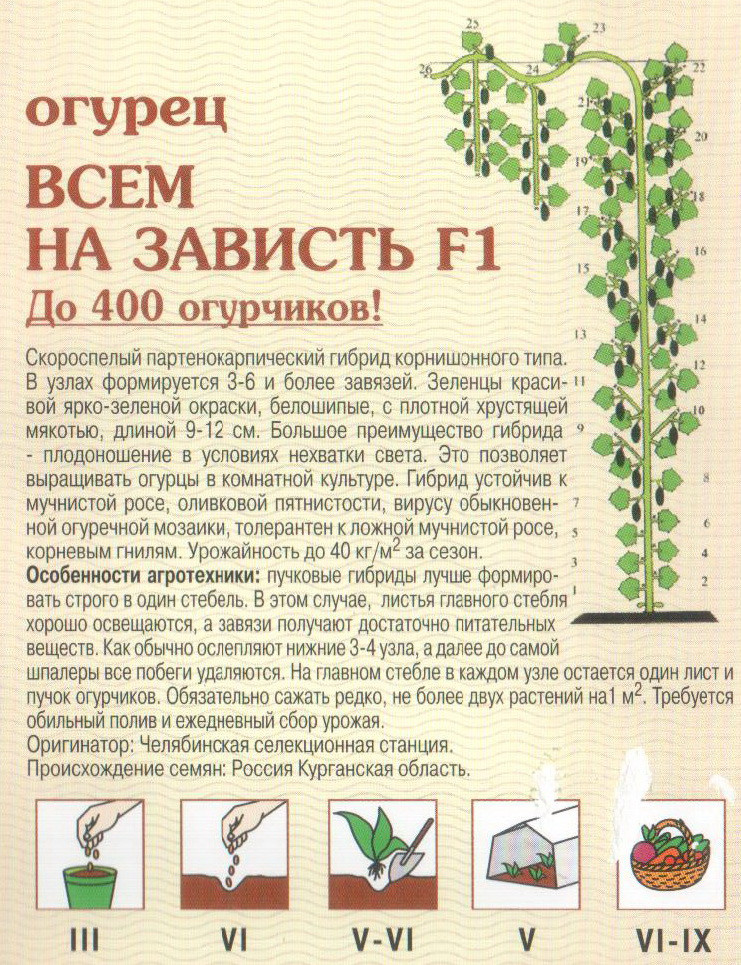Прививка от полиомиелита - сколько раз делается, в каком возрасте, какую вакцину ставить