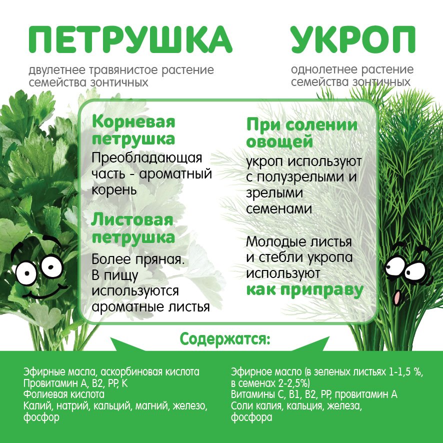 Петрушка при беременности | уроки для мам