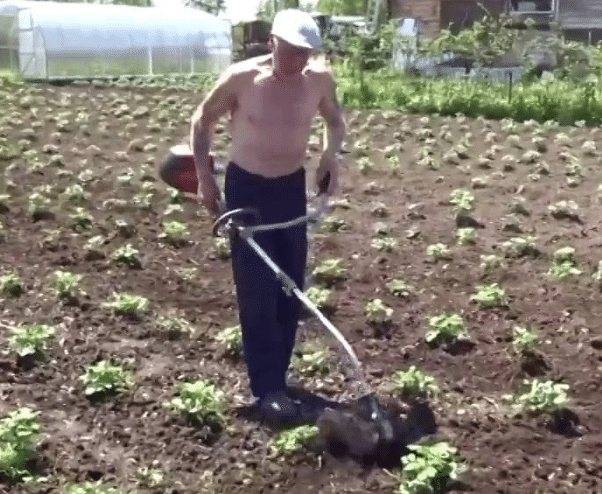Приспособления для посадки и прополки картофеля своими руками: маркера, ежи, ручной плуг и другие