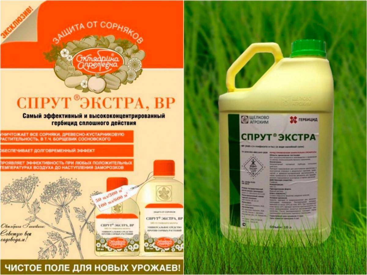 Способ и инструкция по применению гербицида сплошного действия спрут экстра