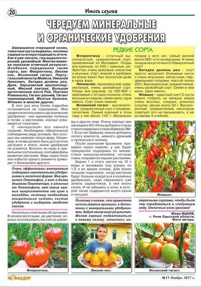 Чем подкормить огурцы в открытом грунте в разных ситуациях