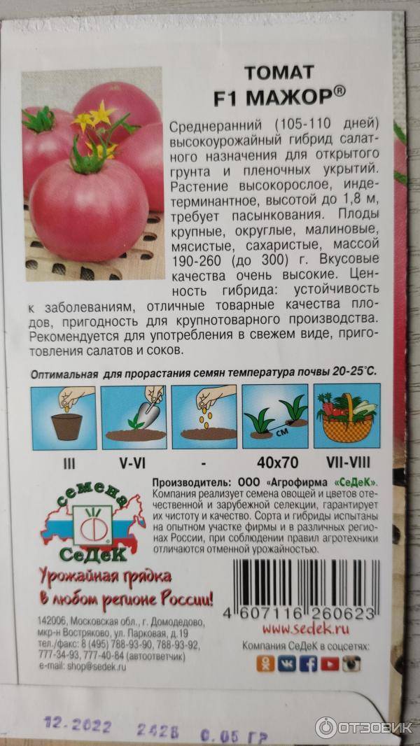Томат мажор: описание нюансов ухода и урожайности помидоров, фото кустов и плодов, отзывы опытных огородников