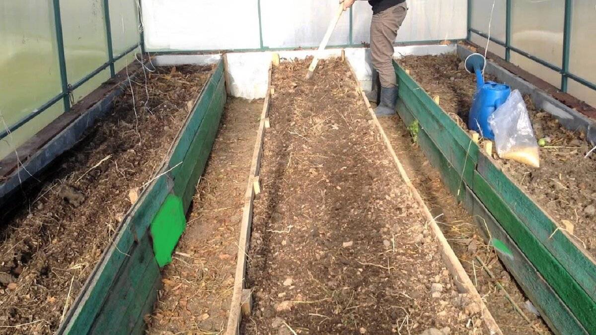 Обработка теплицы весной без замены почвы: 5 простых правил, биопрепаратами, народные средства