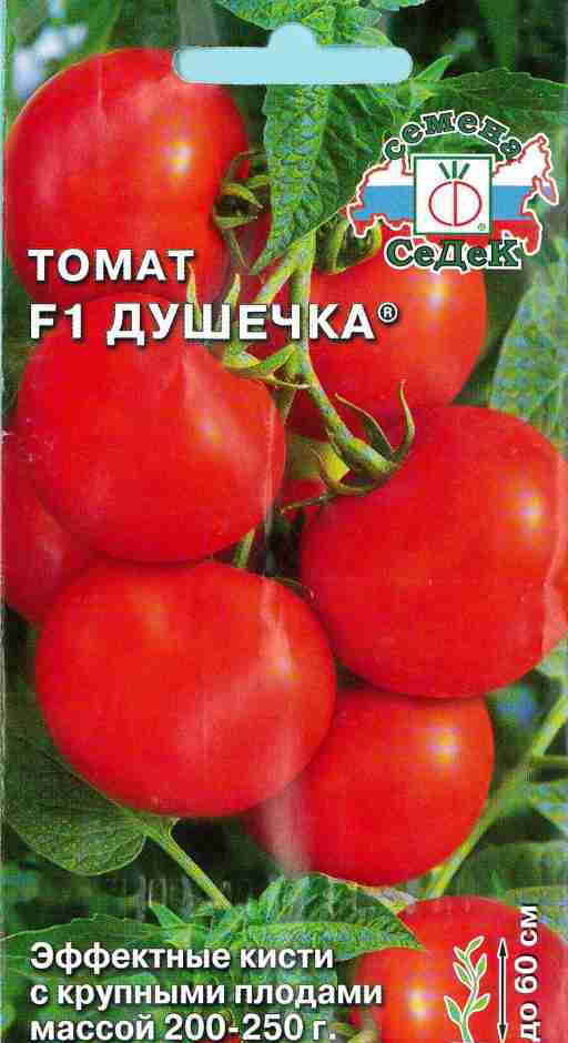 Томат душечка-марфушечка: характеристика и описание гибридного сорта с фото