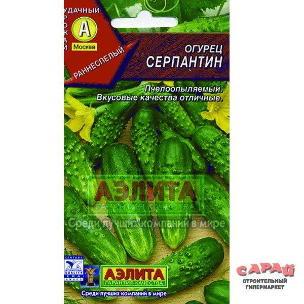 Огурец серпантин: описание, характеристика, отзывы, фото