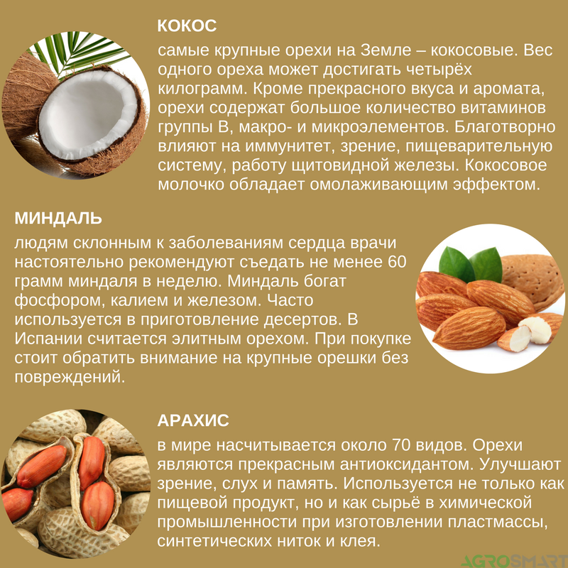 Чем полезен арахис для здоровья — 10 доказанных свойств