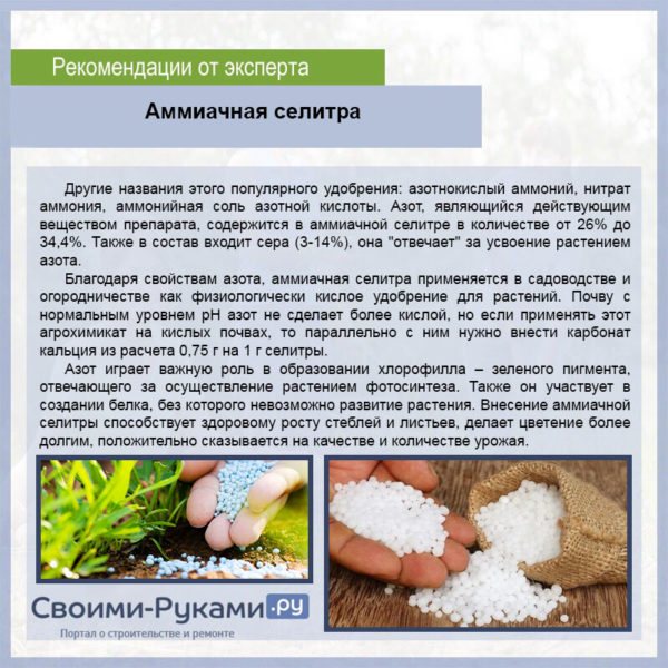 Как полить помидоры золой: чёткая инструкция, советы по подкормке