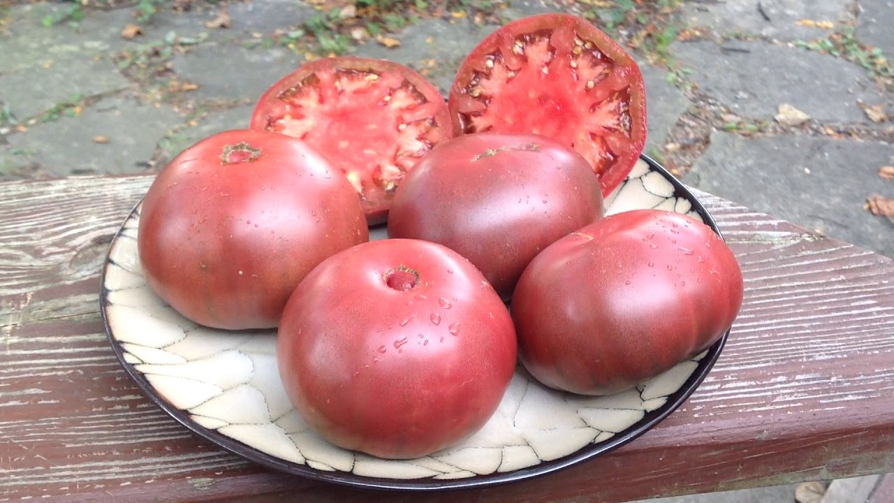 Сорта сердцевидных томатов