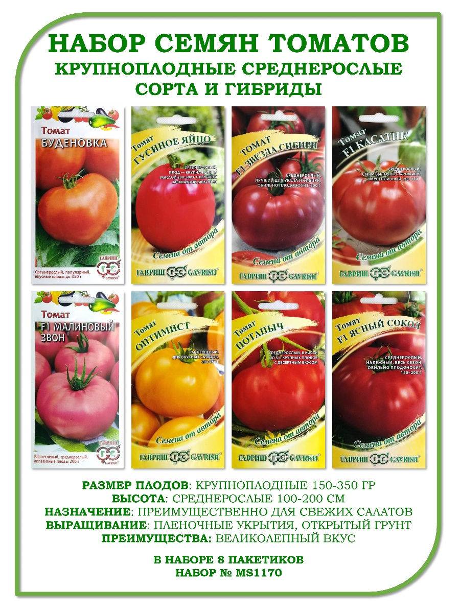 Описание сорта томата Циндао и советы по выращиванию на приусадебном участке