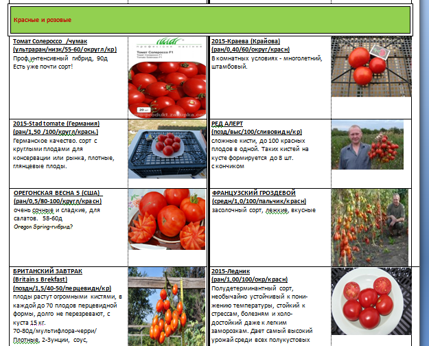 Что значит детерминантный томат?