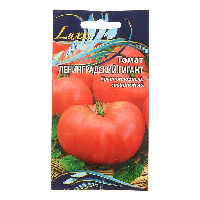 Описание сладкого томата Ленинградский гигант и выращивание рассады