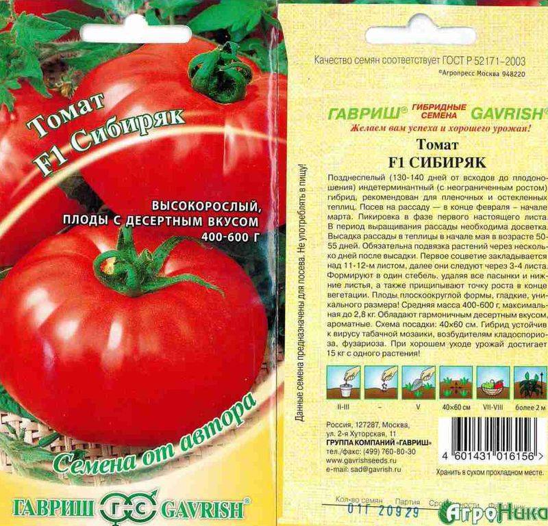 Лучшие сорта томатов на 2023 год для теплиц в подмосковье: особенности выращивания, наименования, описание сорта и отзывы